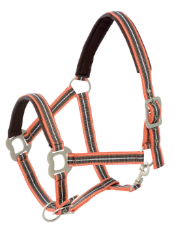 Licol  Tricolore XL Grand Cheval Petit Trait