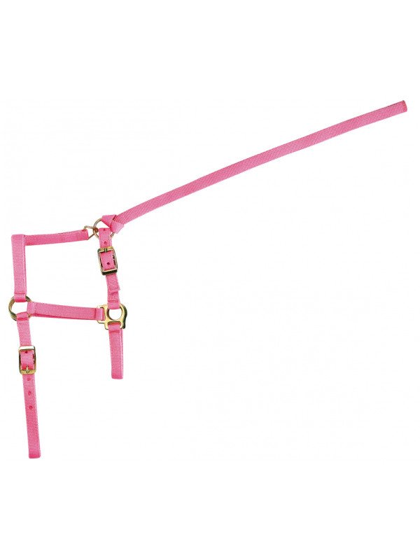 Licol Nylon Foal Avec Longe