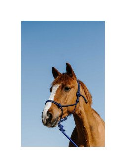 Licol Longe Ethologique NORTON Duo