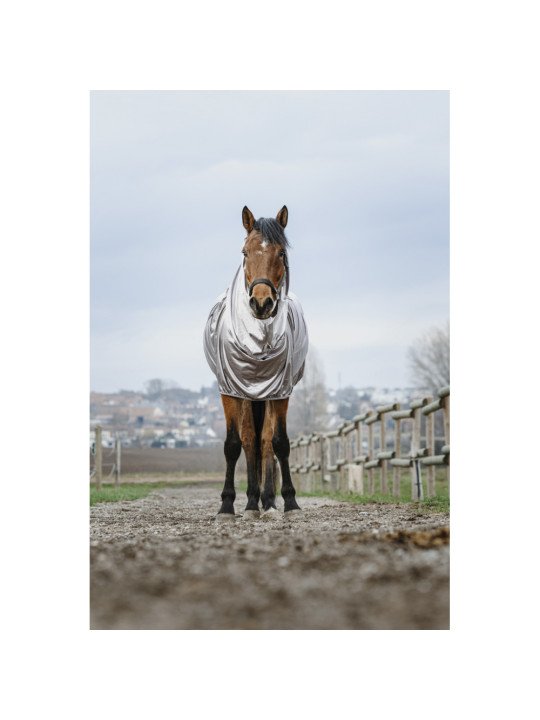 Chemise Anti-Eczéma Anti Dermite Riding World Chemise Anti-Eczéma Anti Dermite Riding World