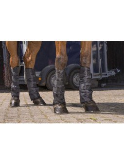 Protections de Transport BASSES Riding World