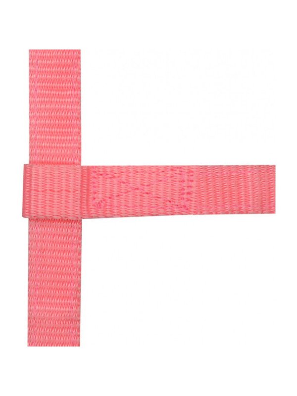 Licol Réglable Norton Mini Foal