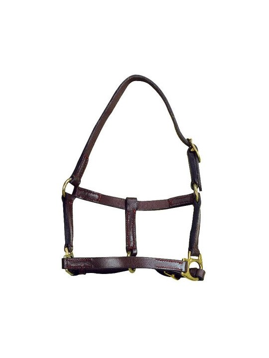 Licol Cuir Foal Norton