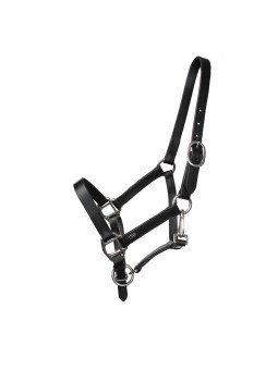 Licol Cuir Mini Shet Poulain