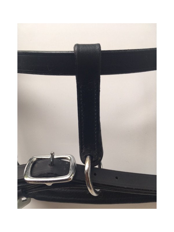 Licol Cuir Mini Shet Foal Poulain