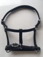 Licol Cuir Mini Shet Foal Poulain