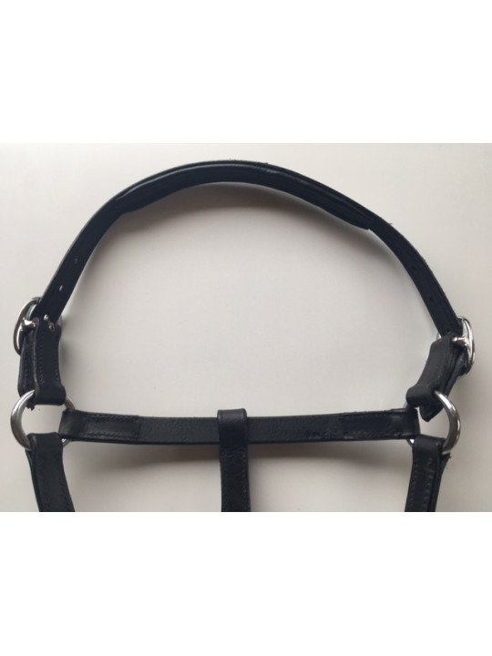 Licol Cuir Mini Shet Foal Poulain
