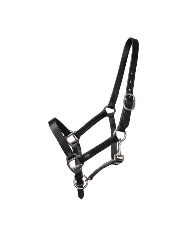 Licol Cuir Poulain Horka