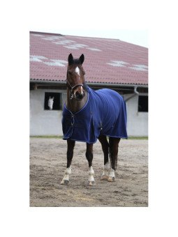 Chemise Polaire Equithème Classic 280 G