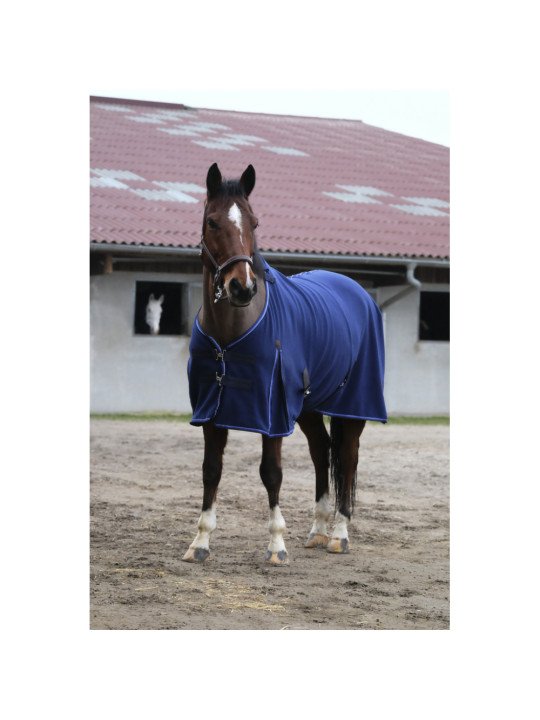 Chemise Polaire Equithème Classic 280 G