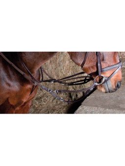 Promo Enrênement Howlett T de T Havane