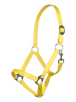 Licol Shetland Economy Softice