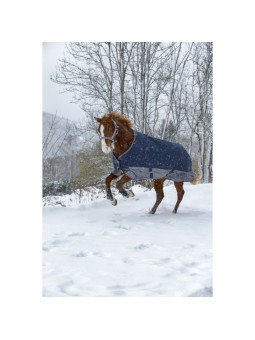 Promo Couverture Equithème 600 D 150 G 100 cm