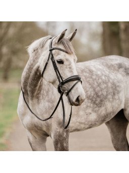 Bridon Anatomique Gatsby XL Grand Cheval Petit Trait
