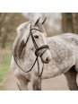 Bridon Anatomique Gatsby XL Grand Cheval Petit Trait