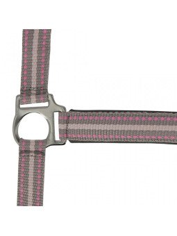 Promo Licol Longe Shetland Tricolore Rose