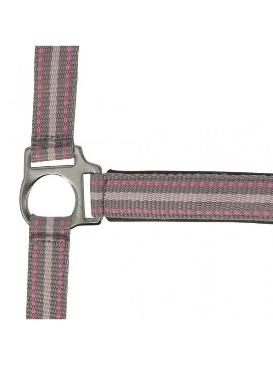 Promo Licol Longe Shetland Tricolore Rose