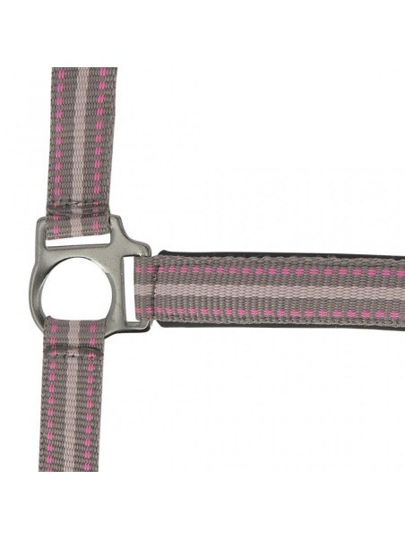 Promo Licol Longe Shetland Tricolore Rose