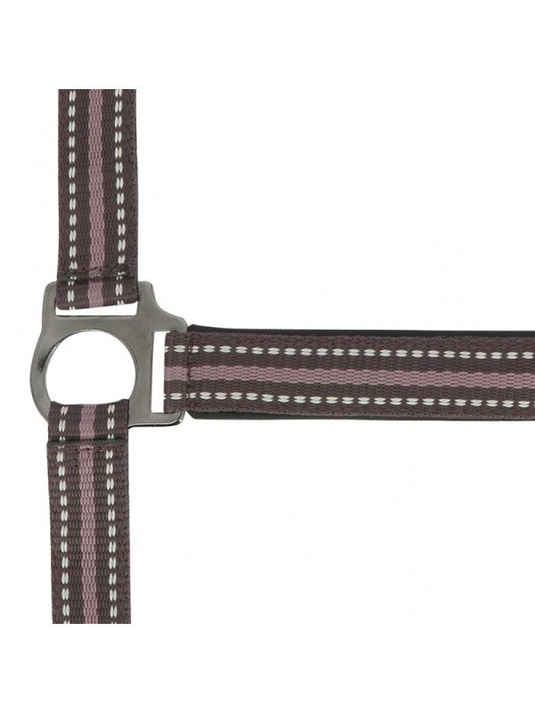 Promo Licol Longe Shetland Tricolore Rose