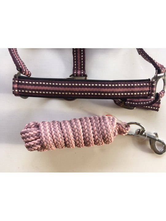 Promo Licol Longe Shetland Tricolore Rose