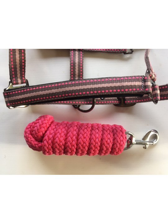 Promo Licol Longe Shetland Tricolore Rose