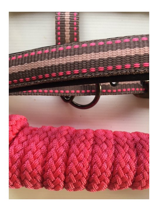Promo Licol Longe Shetland Tricolore Rose