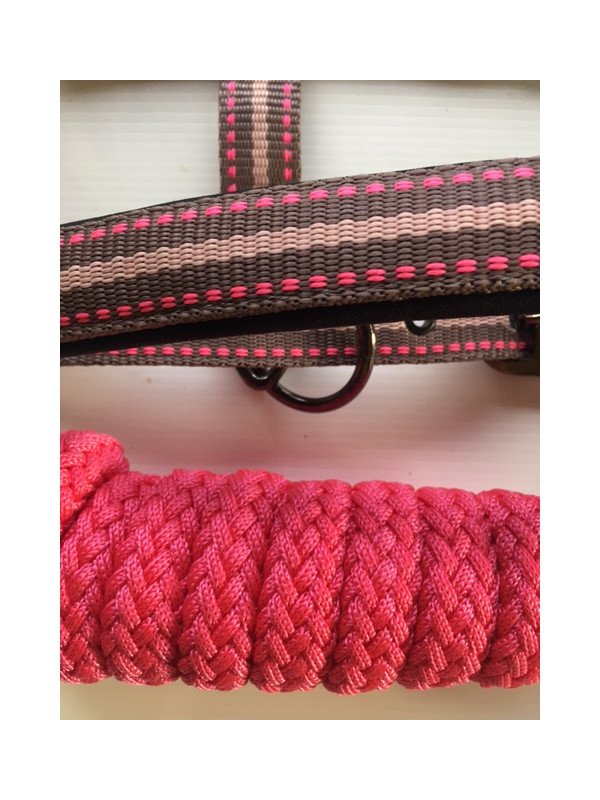 Promo Licol Longe Shetland Tricolore Rose