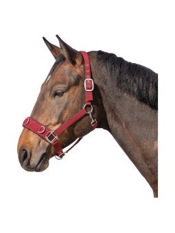 Caveçon Nylon Néoprène Cheval