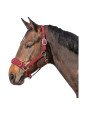 Caveçon Nylon Néoprène Cheval