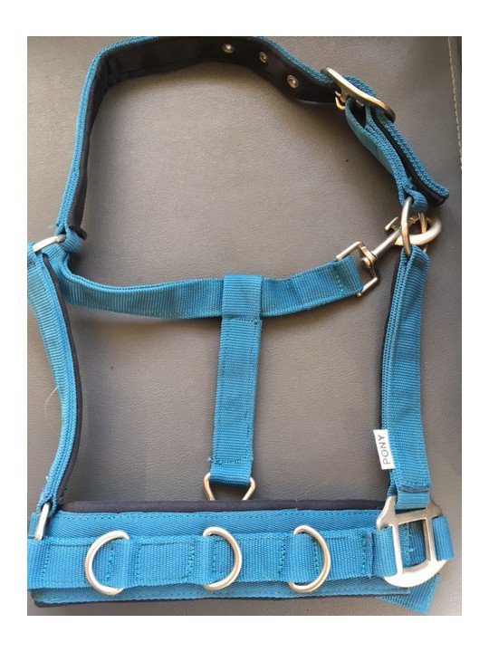 Caveçon Nylon Néoprène Cheval