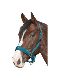 Promo Caveçon Poney Turquoise