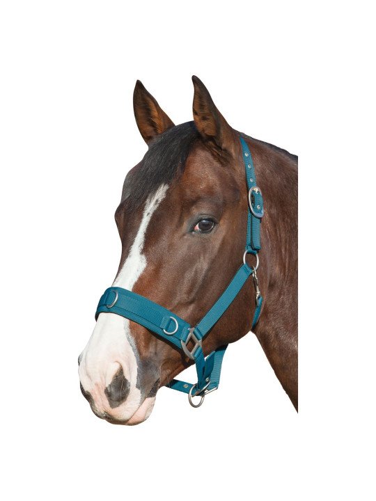 Promo Caveçon Poney Turquoise