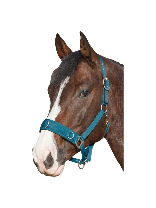 Promo Caveçon Poney Turquoise