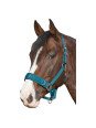Promo Caveçon Poney Turquoise