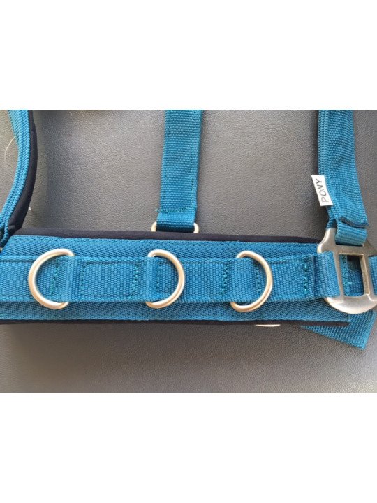 Promo Caveçon Poney Turquoise