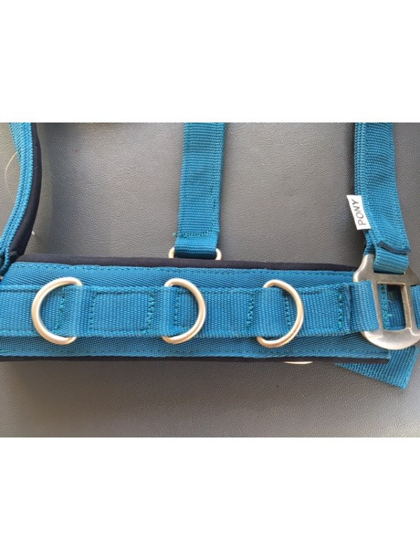 Promo Caveçon Poney Turquoise