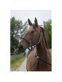 Licol Satiné Norton Shet Poney Cheval