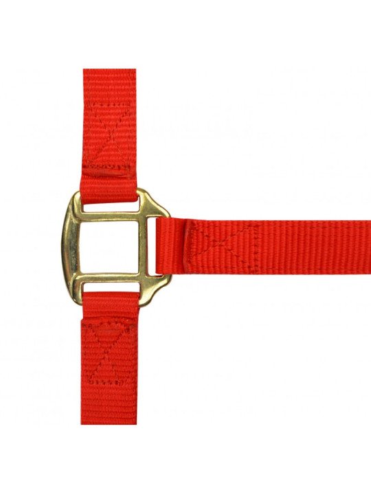 Licol Nylon Doublé Cuir Licol Nylon Doublé Cuir