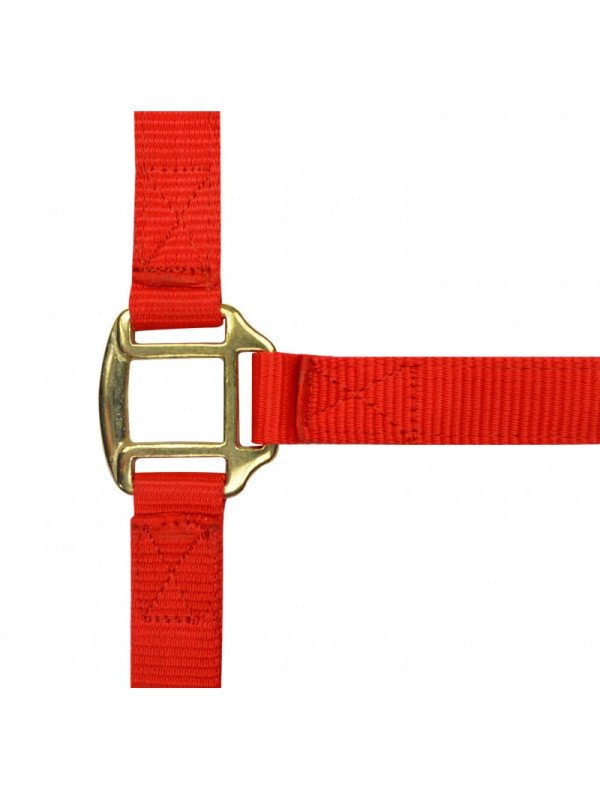 Licol Nylon Doublé Cuir Licol Nylon Doublé Cuir