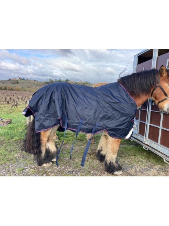 Couverture Imper Horseware Amigo Bravo XL 250 G