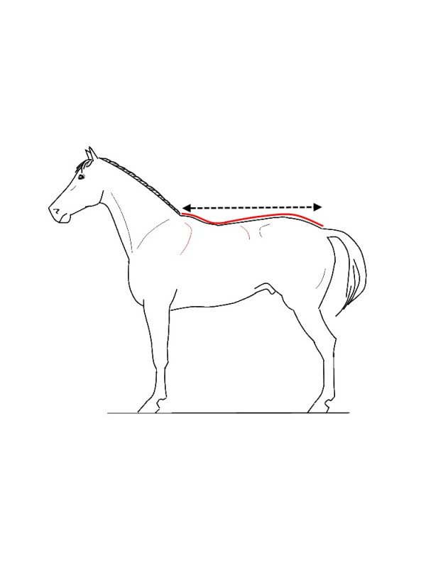 Promo Couverture Doublée Polaire Imper Poitrail Large XL Trait Irish 145