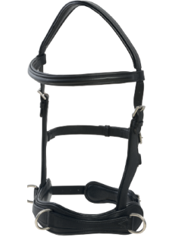 Caveçon Anatomique Synthétique Pro