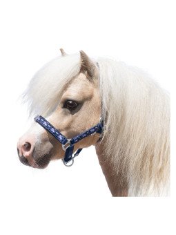 Licol Nylon Mini Shetline