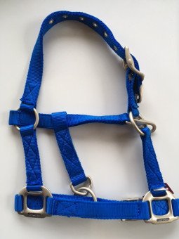 Promo Licol Equithème Nylon Strong Shetland