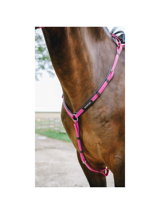 Collier De Chasse Synthétique Endurance Norton Pop