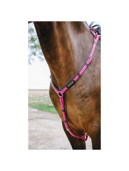 Collier De Chasse Synthétique Endurance Norton Pop