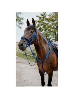 Bridon Norton Endurance Pop