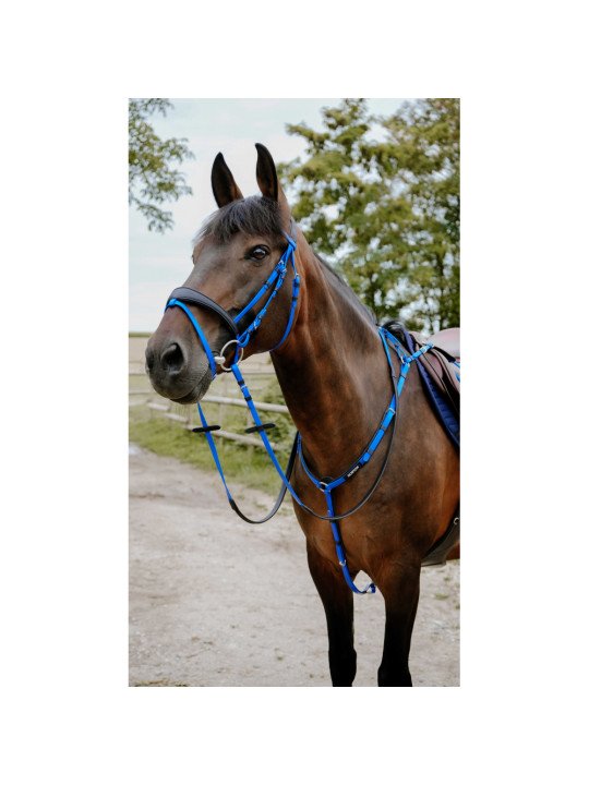 Bridon Norton Endurance Pop