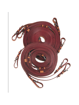 Promo Guides à 4 Four In Hands Cheval