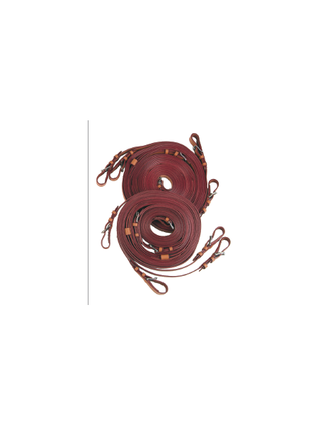 Promo Guides à 4 Four In Hands Cheval